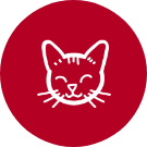 Le chat