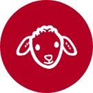 L'agneau