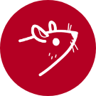 La souris